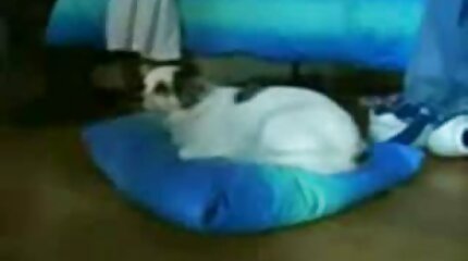 วีดีโอ โป็ ฟรี