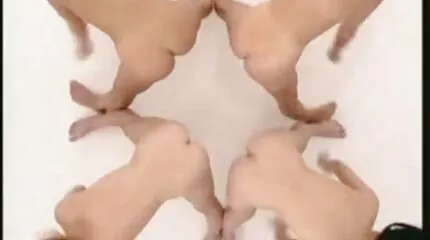 สาวผมบลอนด์ทาสีบนไก่ของคนรัก วี ดี โป็