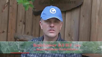 วีดีโอ เย ด